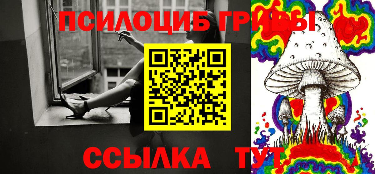 Псилоцибиновые грибы Psilocybe Углич