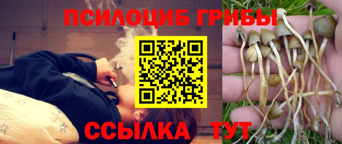 Галлюциногенные грибы Cubensis  Вход с VPN  Углич 